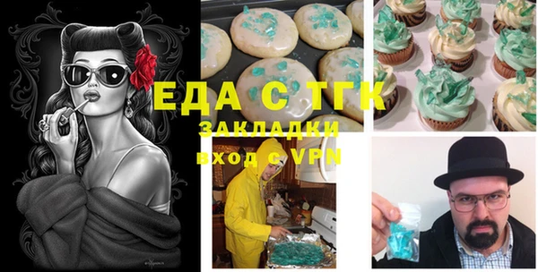 молекула духа Вяземский